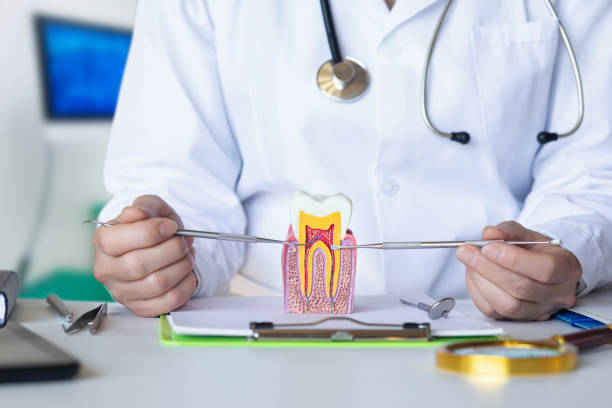 Best Weekend Emergency Dental Services in Merkel, TX